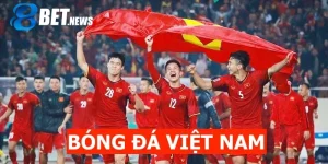 bóng đá Việt Nam