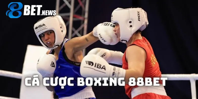 Khái quát về thông tin trò chơi boxing 88Bet