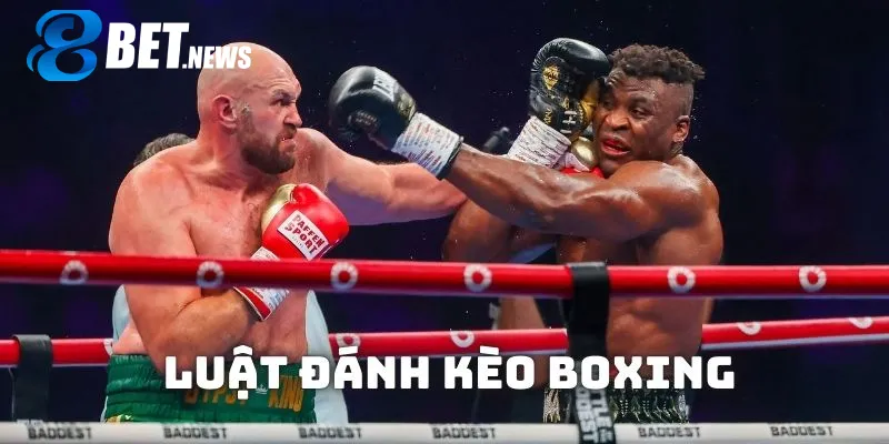 Bạn cần nắm bắt toàn diện về luật đánh cũng như quy tắc kèo boxing